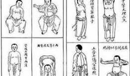 八段锦视频口令版,轻松入门，养生保健操