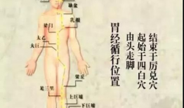 胃经敲打顺序视频,穴位按摩助您养生保健